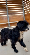 GRETTEL Image 3